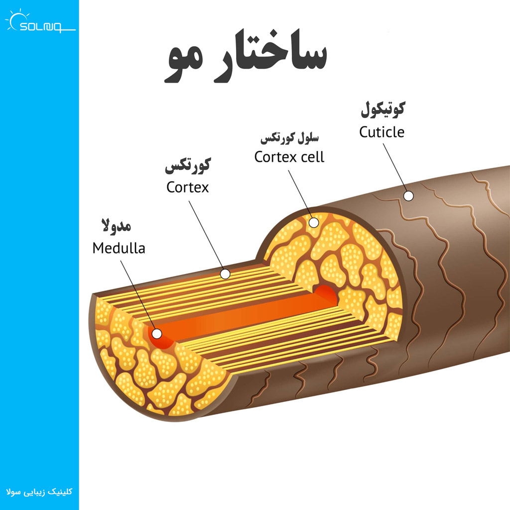 ساختار مو- کلینیک زیبایی سولا