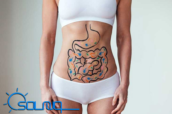 چگونه باکتریهای روده شما را چاق یا لاغر میکنند؟